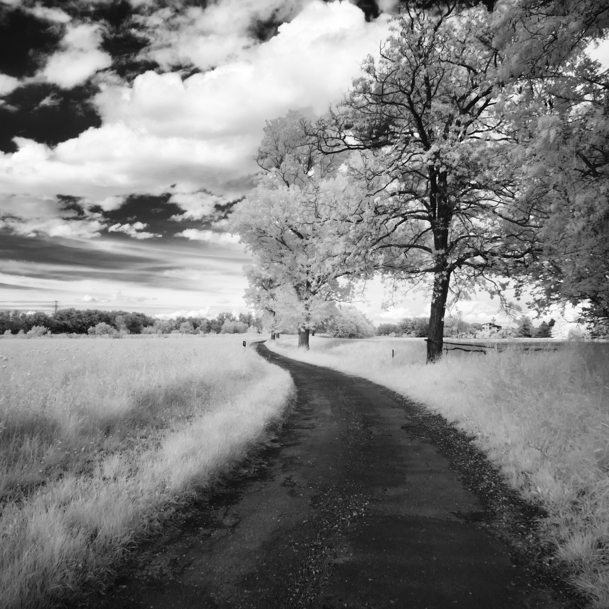 Gaione (Parma) Infrared